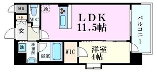 スプランディッド中之島DUEの物件間取画像